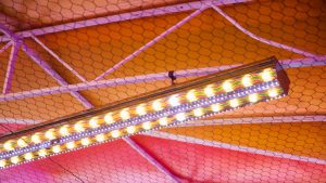LED battens providing bright warehouse lighting for improved visibility and safety.