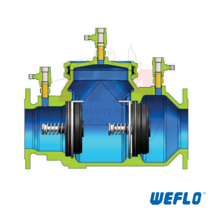 Double Check Valve FFA-5400F-DCV Flanged | Backflow Prevention Valve