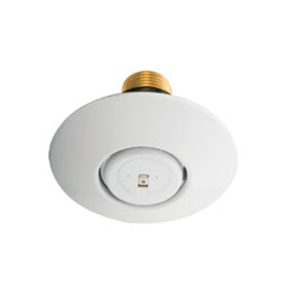 RAVEN (Institutional)– Quick Response, Standard Coverage (Solder 5.6 K-factor) Institutional Pendent and Horizontal Sidewall Sprinklers